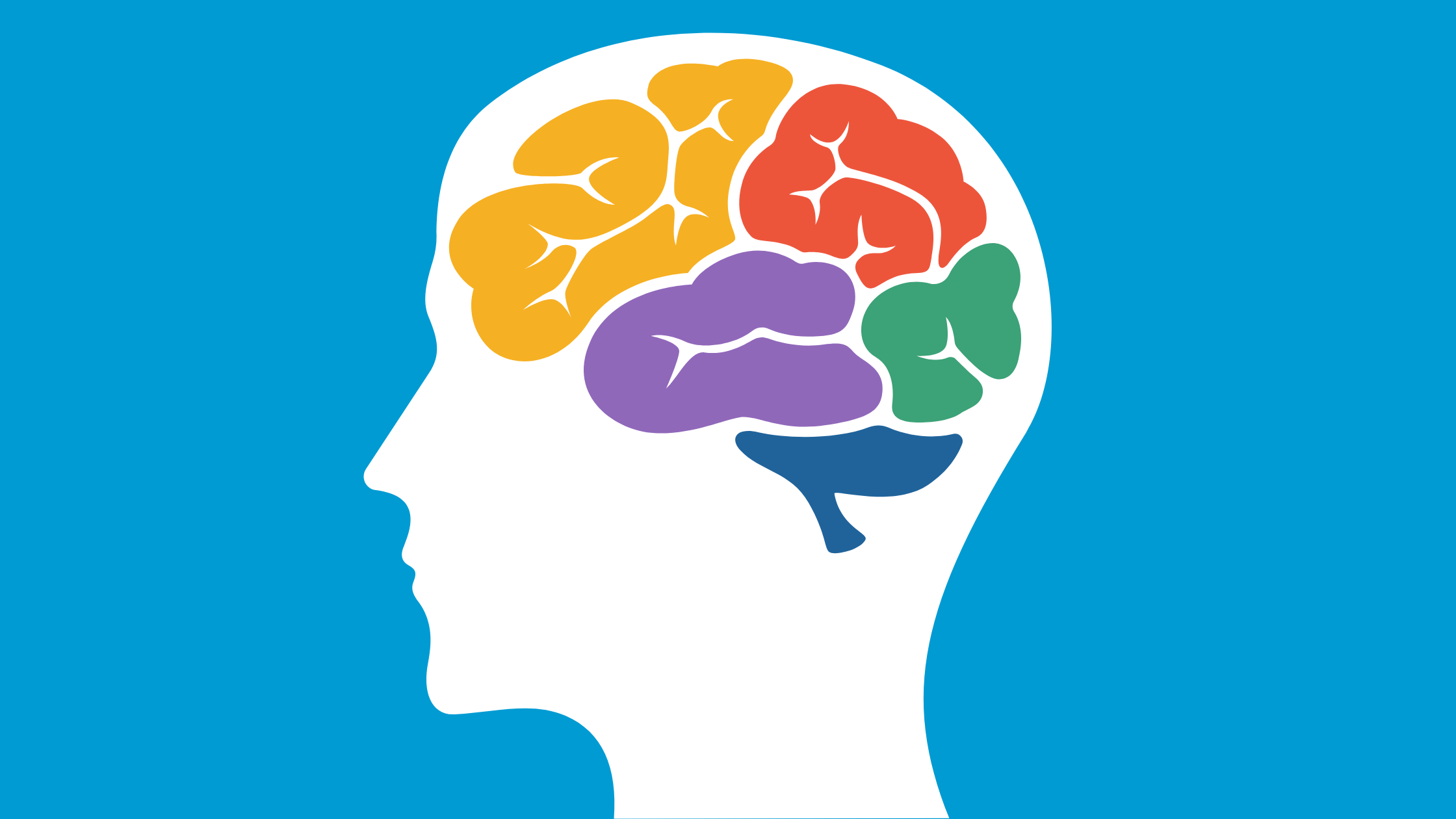 How Nutrition Rewires the Brain for Mental Health