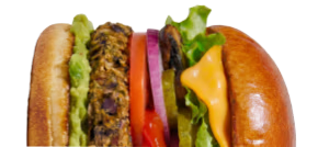 NEW! Portobello Mushroom Burger Mix