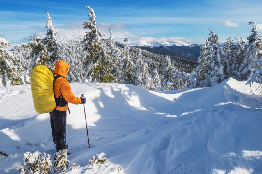Boost Your Immune System with These Winter-Friendly Plant-Based Foods (Even When Outdoors!)