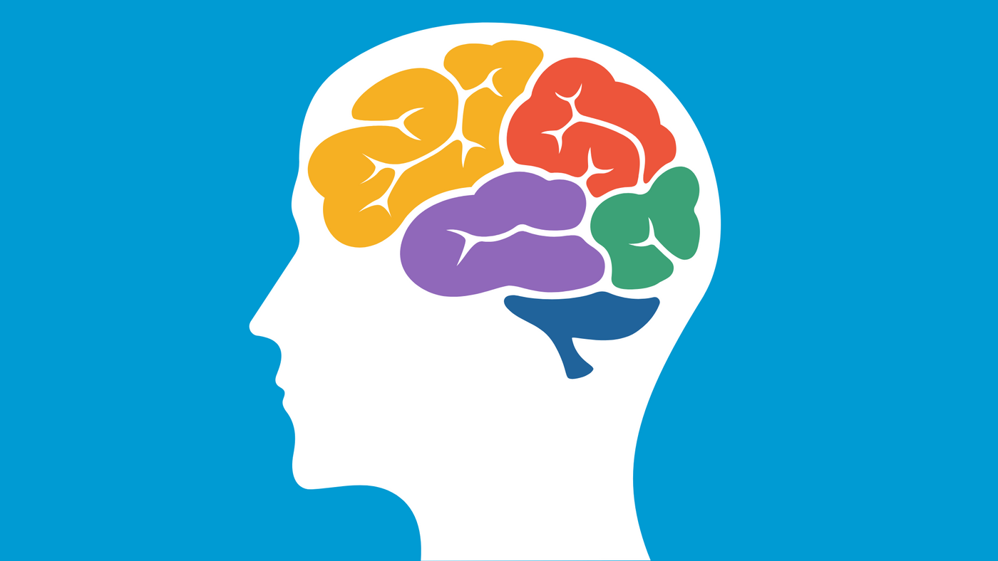 How Nutrition Rewires the Brain for Mental Health