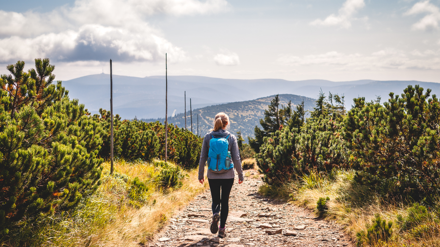 The No-Phone Walk: The Simplest Thing You Can Do for Your Mental Health
