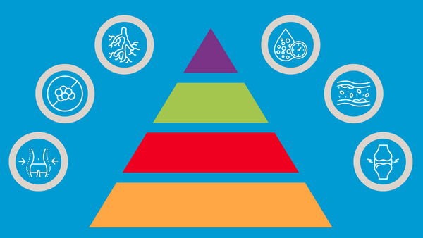 How to Discern what's Accurate in Nutrition: Understanding the Hierarchy of Scientific Evidence
