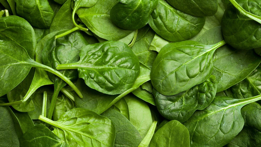 Spinach Health Benefits: Why This Leafy Green Deserves Its Superfood Status