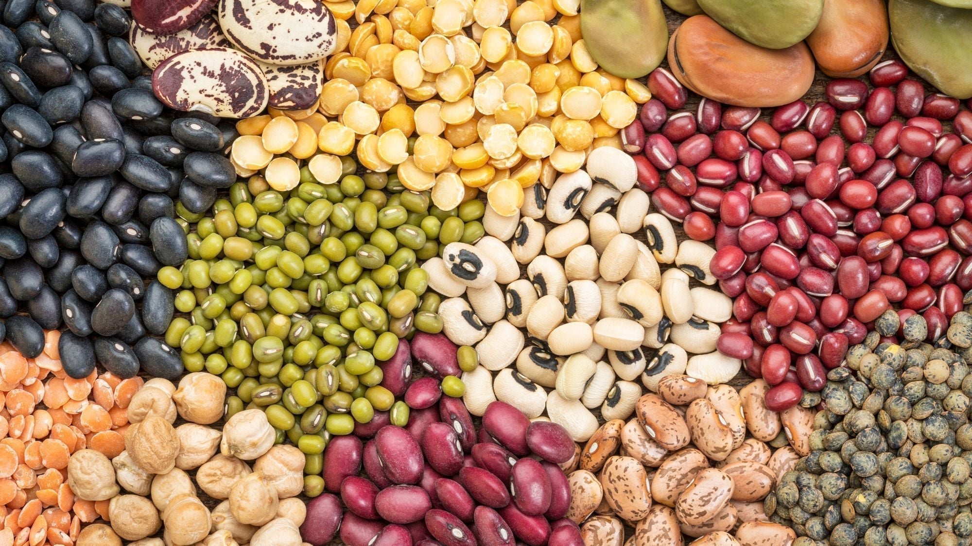 Benefits of Beans for Women: Fiber, Nutrients, and Heart Health