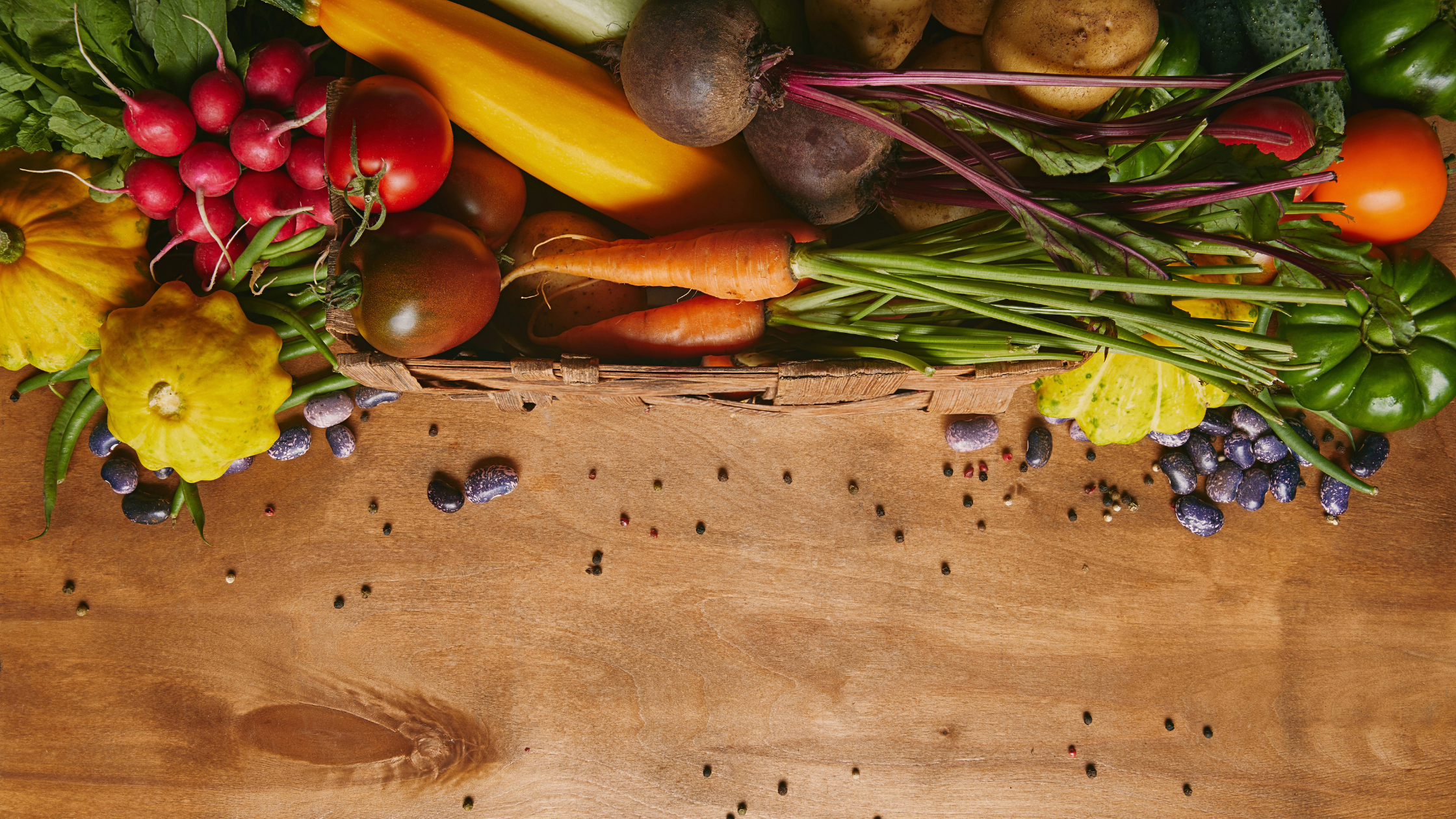 The Power of Plants: Dr. Kristi Funk’s Life-Saving Lessons from PLANTSTOCK