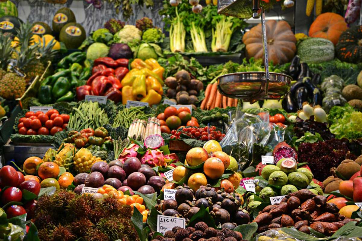 How to Begin a Whole Food Plant-Based Diet?