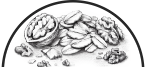 NEW! Oat & Walnut Milk