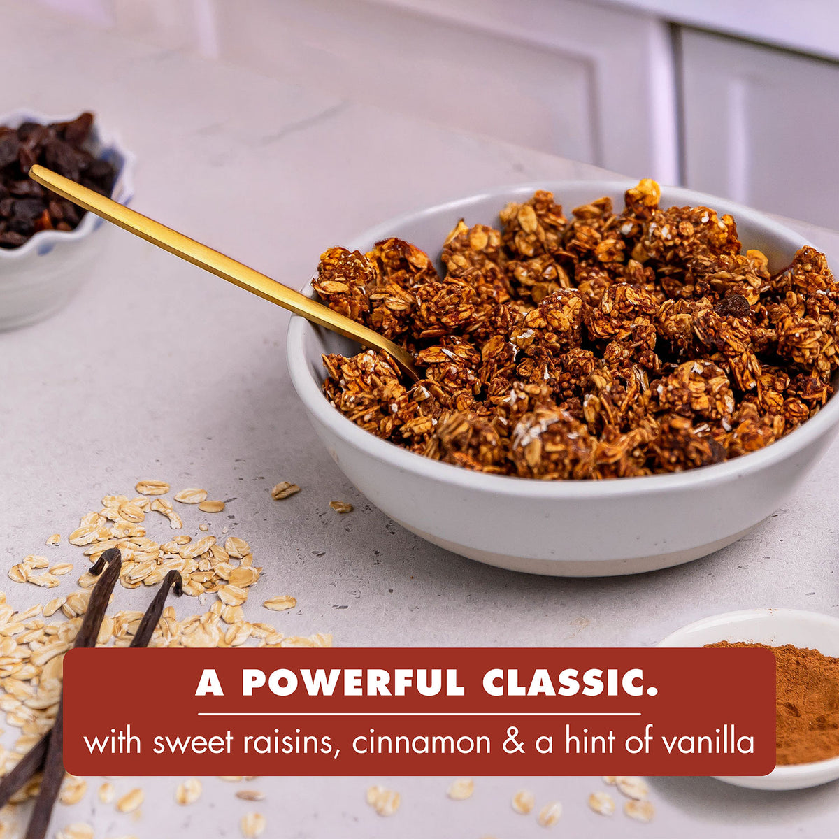 NEW! Oatmeal Raisin +Protein Granola